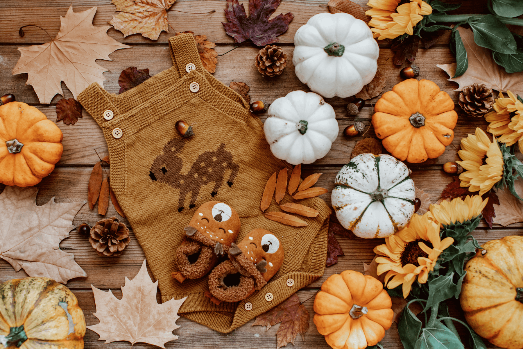 A baby jumper surrounded by miniature pumpkins, leaves, and pinecones.