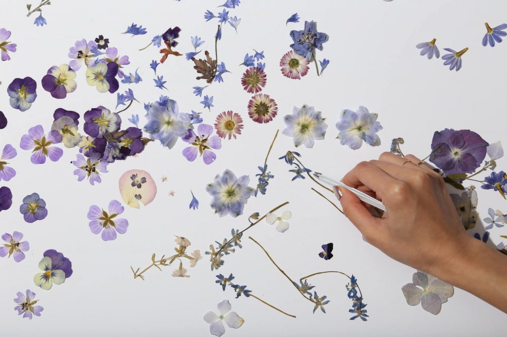 Pressed flower tips and tricks from our studio | Paperless Post